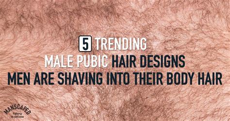 male pubic hair images